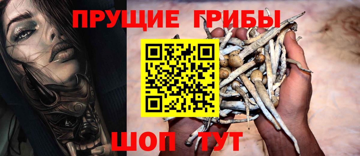 Псилоцибиновые грибы Magic Shrooms  Вход с VPN  Скопин 